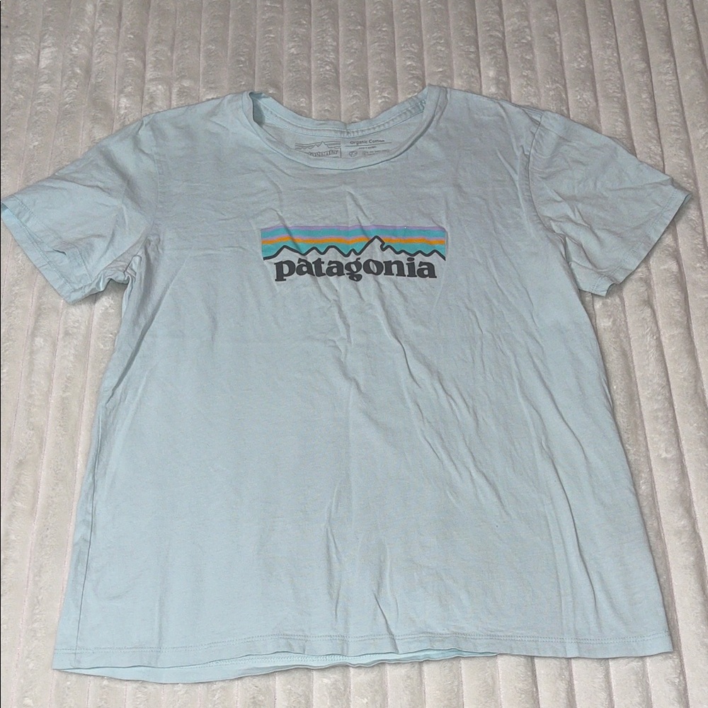 Patagonia Tee | Size Small - Picture 1 of 7
